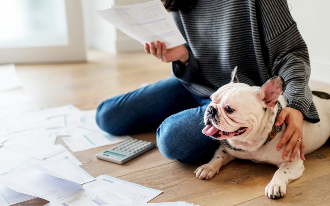 5 Dicas de planejamento financeiro para Pet Shop