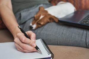 A importância da emissão de nota fiscal SAT