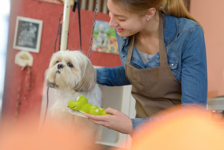 Check-list-completo-de-banho-e-tosa-para-Pet-Shop