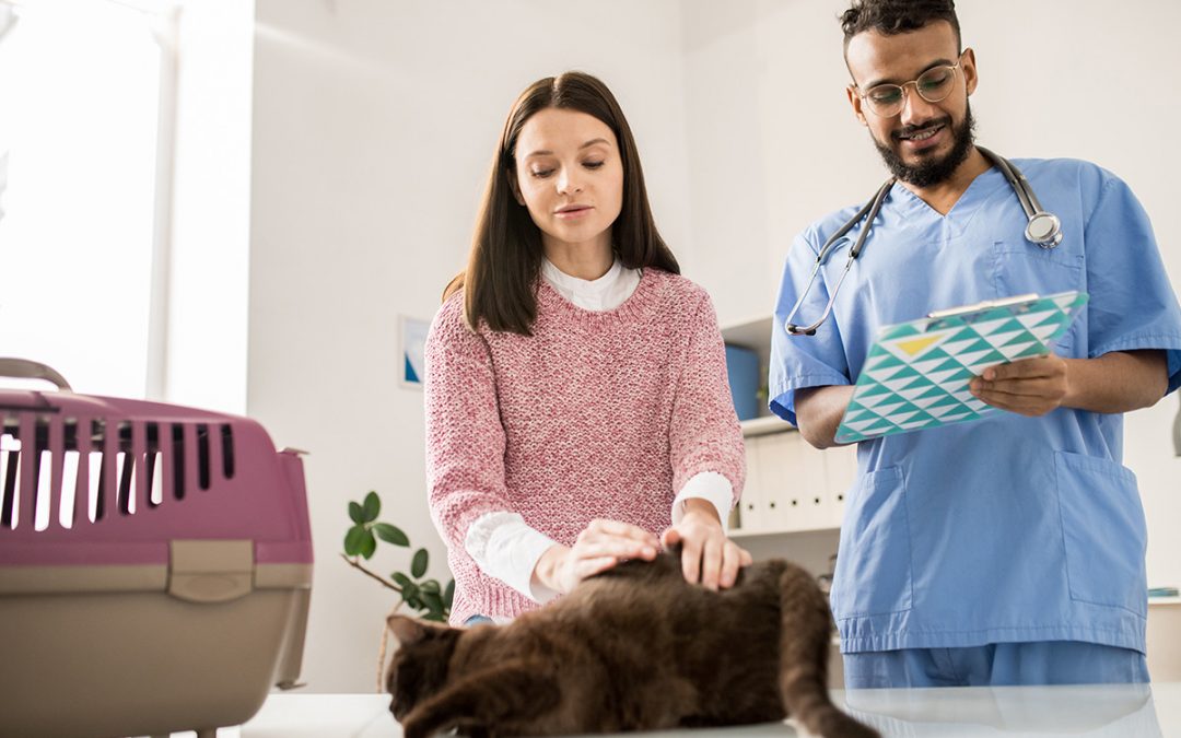 Assinatura eletrônica na sua clínica veterinária