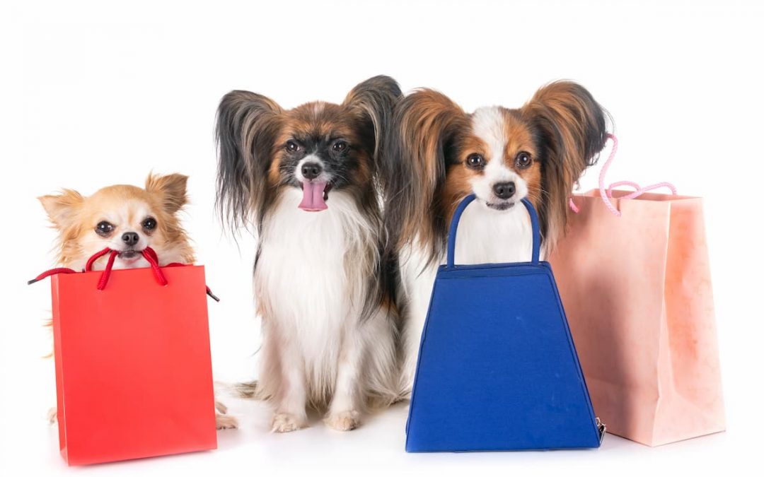 Dicas e estratégias para aumentar as vendas em seu Pet Shop
