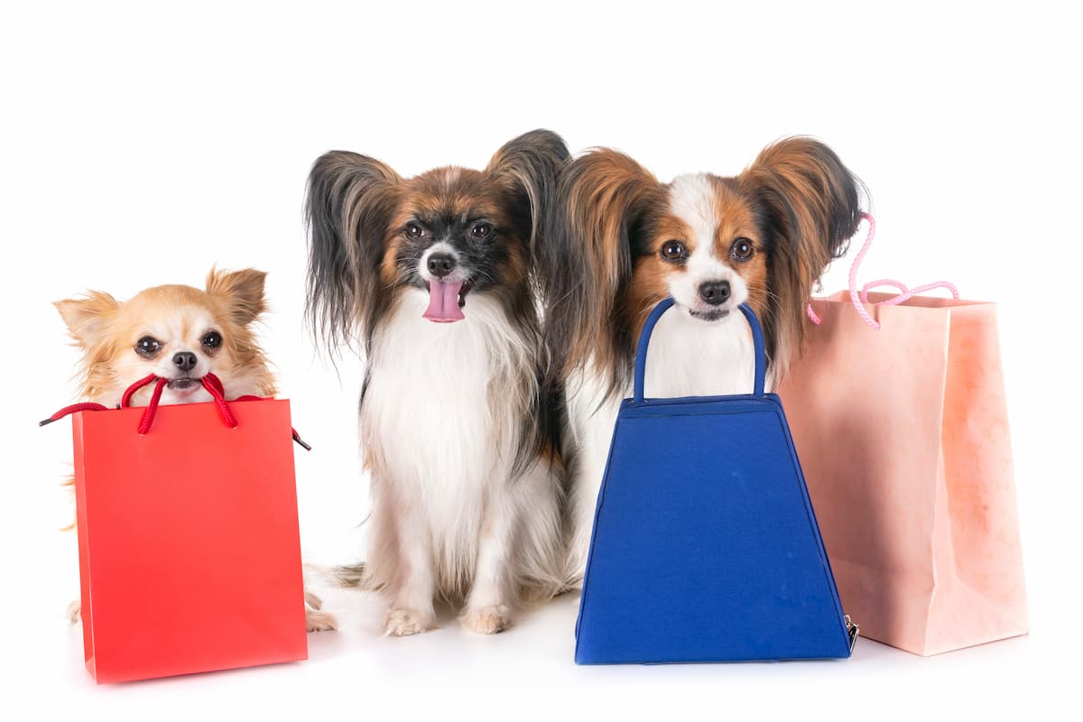Redes sociais para pet shop: conheça as melhores estratégias