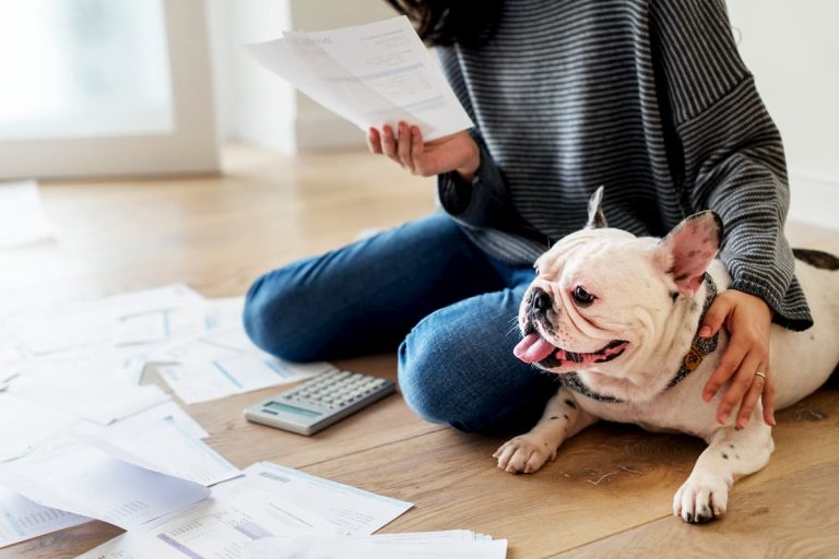 5-Dicas-de-planejamento-financeiro-para-pet-shop