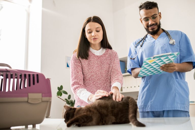 receituario-eletronico-para-clinicas-veterinarias